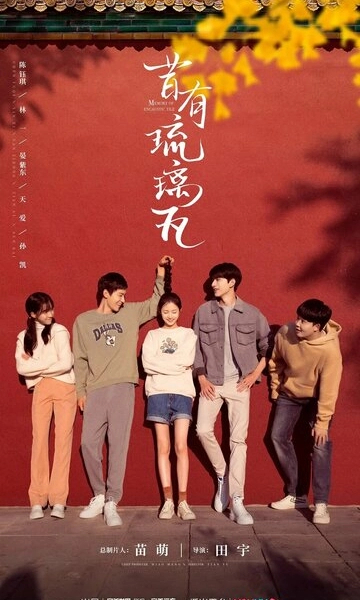 Глазурованная плитка