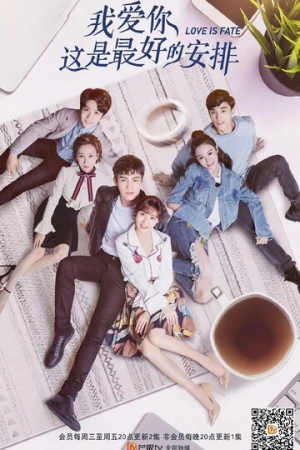 Любить тебя - лучшее решение