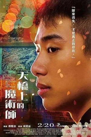 Волшебник с пешеходного моста